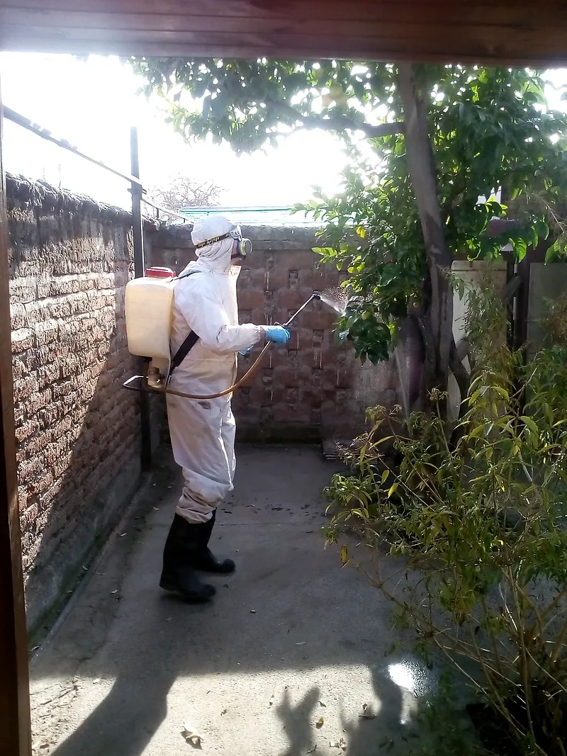 Tratamiento contra garrapatas en el patio de una vivienda con mascotas