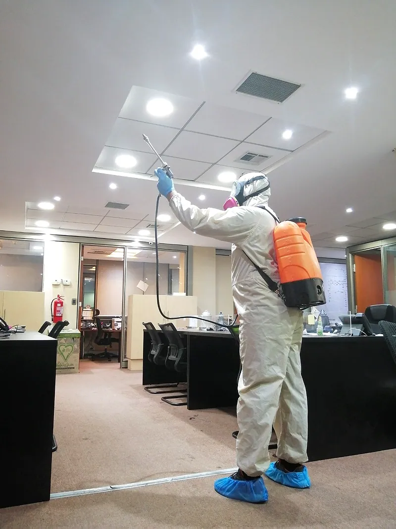 Aplicación de tratamiento contra arañas en el interior de una oficina