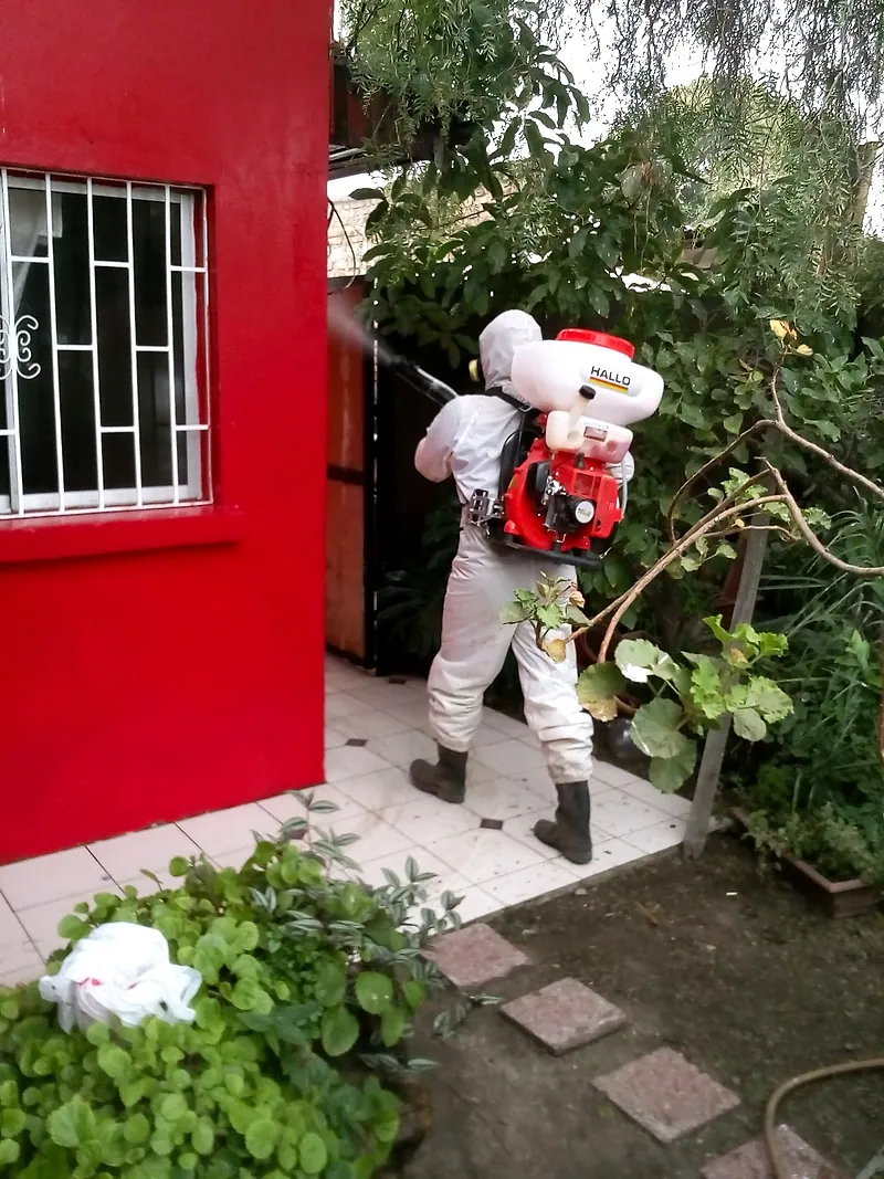 Tratamiento de la fachada de una vivienda con equipo motorizado