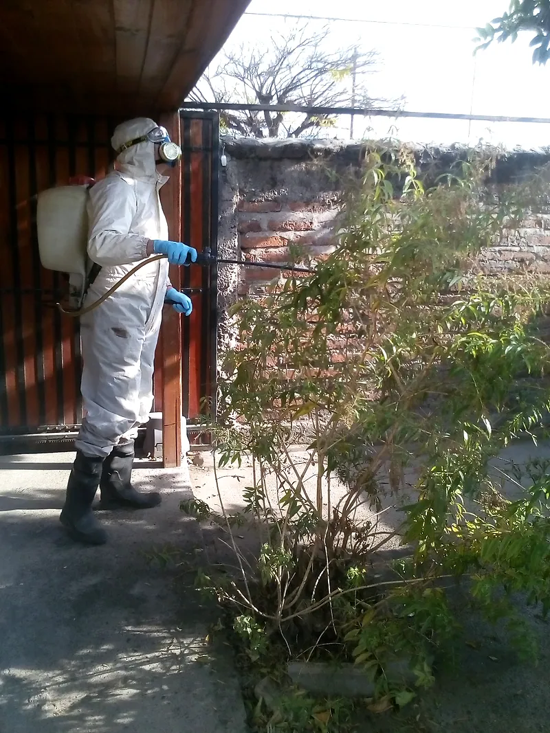Control de plagas en el jardín exterior de una vivienda